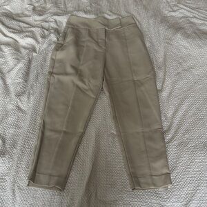 Zara Tailored Beige Trouser